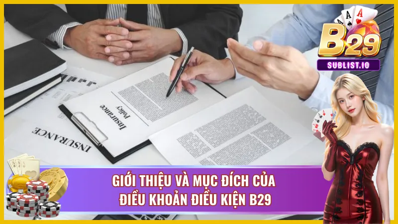 Giới thiệu về điều khoản và điều kiện B29