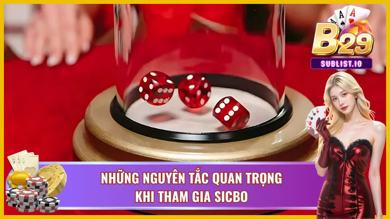 Các quy tắc cần nắm khi tham gia sicbo B29